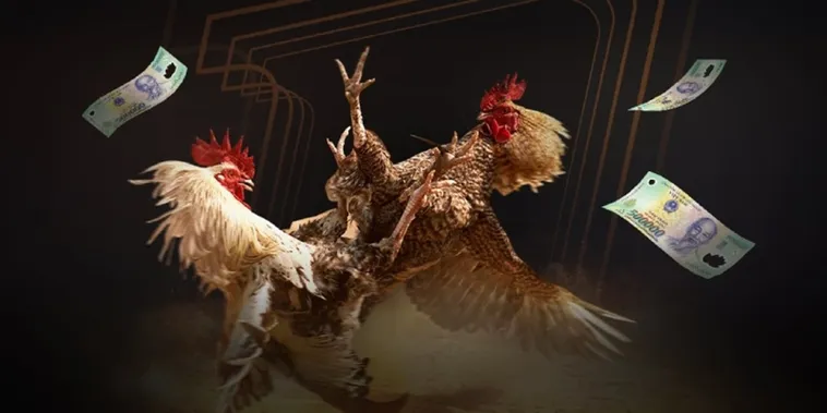 Khám Phá Sảnh Đá Gà 77Ball Đỉnh Cao Và Rinh Thưởng Khủng Ngay