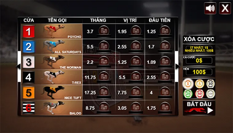 Bật Mí Cách Chơi Đua Chó Tại 77Ball Luôn Thắng Cho Người Mới 2 Bật Mí Cách Chơi Đua Chó Tại 77Ball Luôn Thắng Cho Người Mới