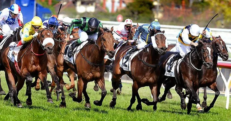 Khám Phá Cá Cược Đua Ngựa 77Ball Và Trải Nghiệm Đỉnh Cao