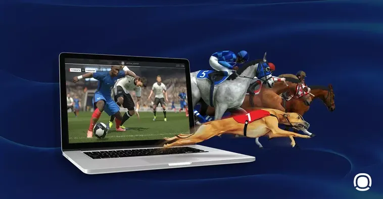 Chinh Phục Cá Cược Thể Thao Ảo 77Ball Với Bí Kíp Từ Chuyên Gia