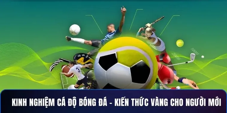 Nắm Bắt Kèo Cược Bóng Đá 77Ball Trở Thành Chuyên Gia Soi Kèo